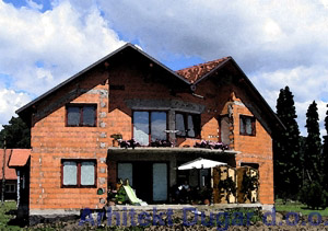 Orhideja