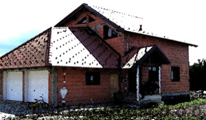 Orhideja